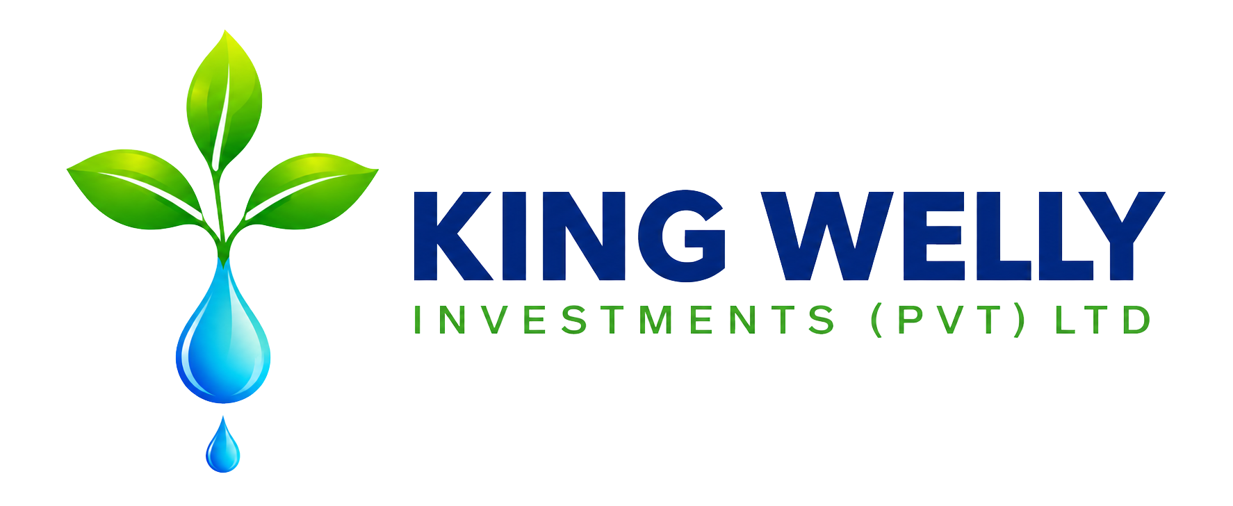 King Welly Investments